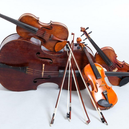 Chamber Music Department to Hold String Quartet Audition