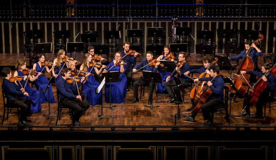 Anima Musicae Chamber Orchestra