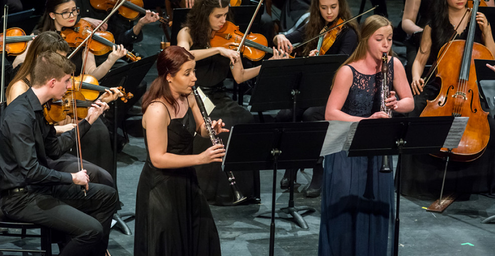 Chamber Orchestra on the Podium